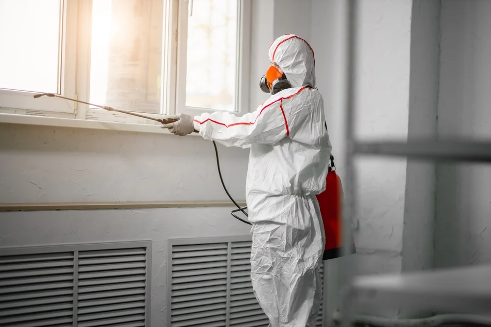 Professional mold remediation services in Makaweli, HI